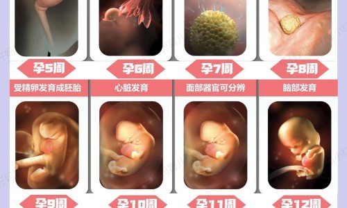 中药材黑老虎网 :分享黑老虎图片-中药材黑老虎根功效与作用知识