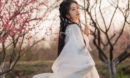 中药材黑老虎网 :分享黑老虎图片-中药材黑老虎根功效与作用知识