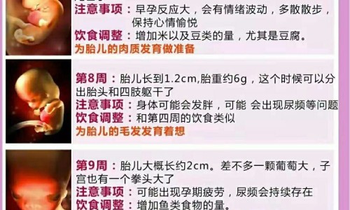 中药材黑老虎网 :分享黑老虎图片-中药材黑老虎根功效与作用知识