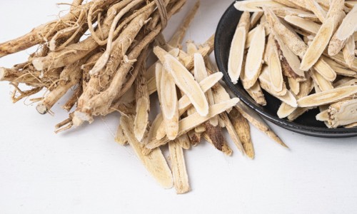 中药材黑老虎功效和作用-中药材黑老虎网 :分享黑老虎图片-中药材黑老虎根功效与作用知识