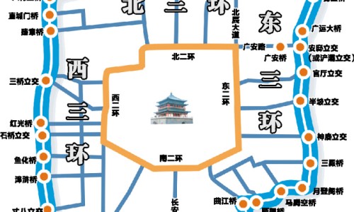 黑老虎的功效-中药材黑老虎网 :分享黑老虎图片-中药材黑老虎根功效与作用知识